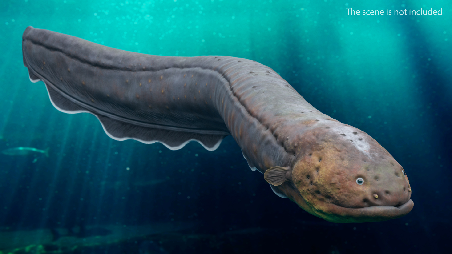 Electric Eel Rigged 3D model