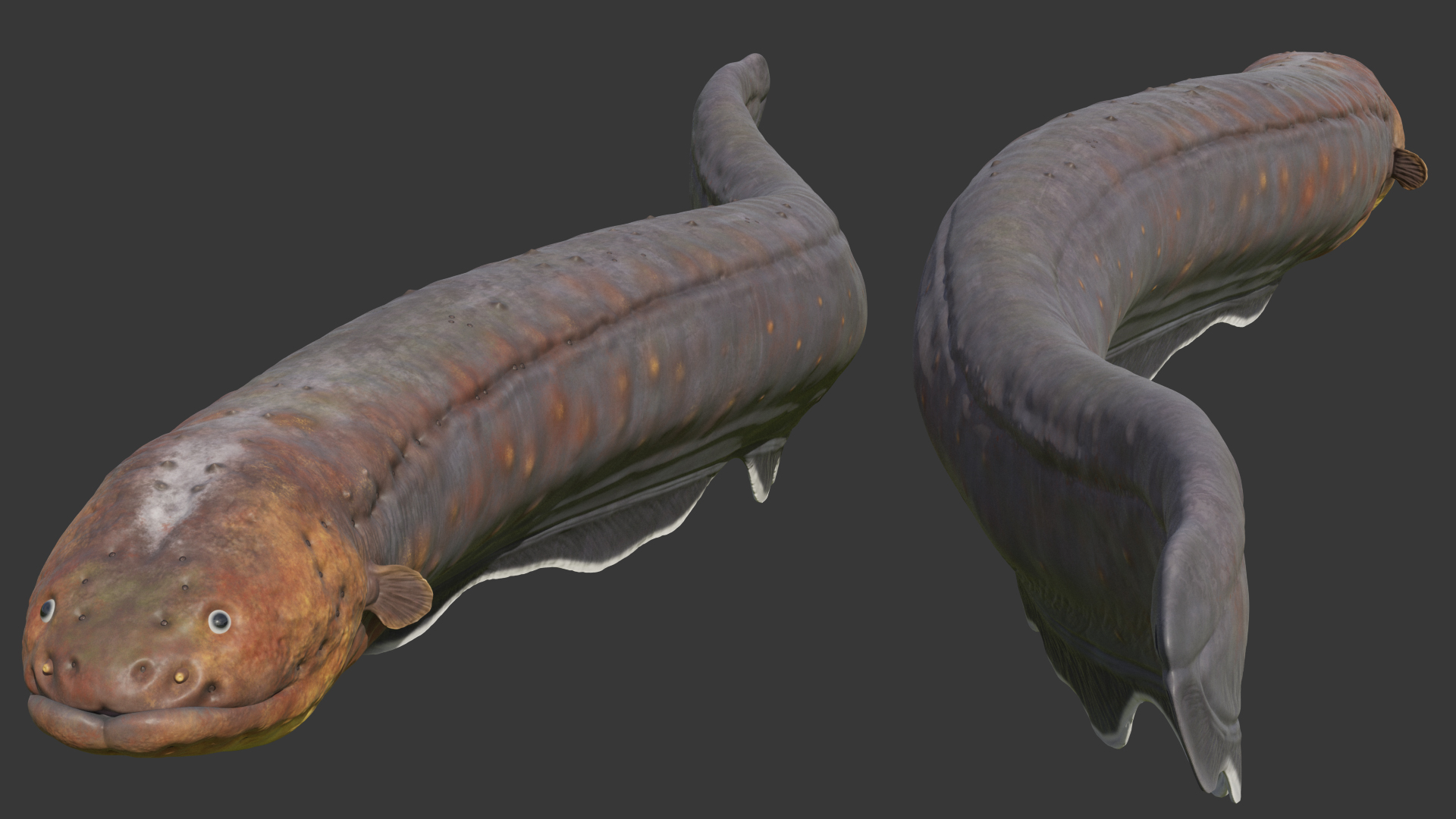 Electric Eel Rigged 3D model
