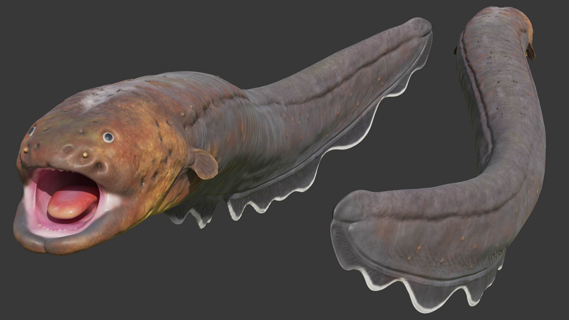 Electric Eel Rigged 3D model