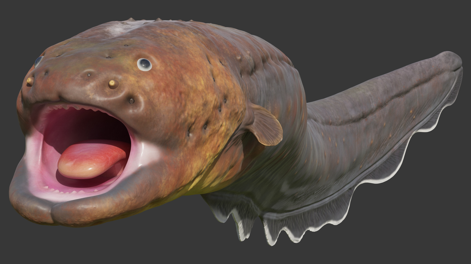 Electric Eel Rigged 3D model