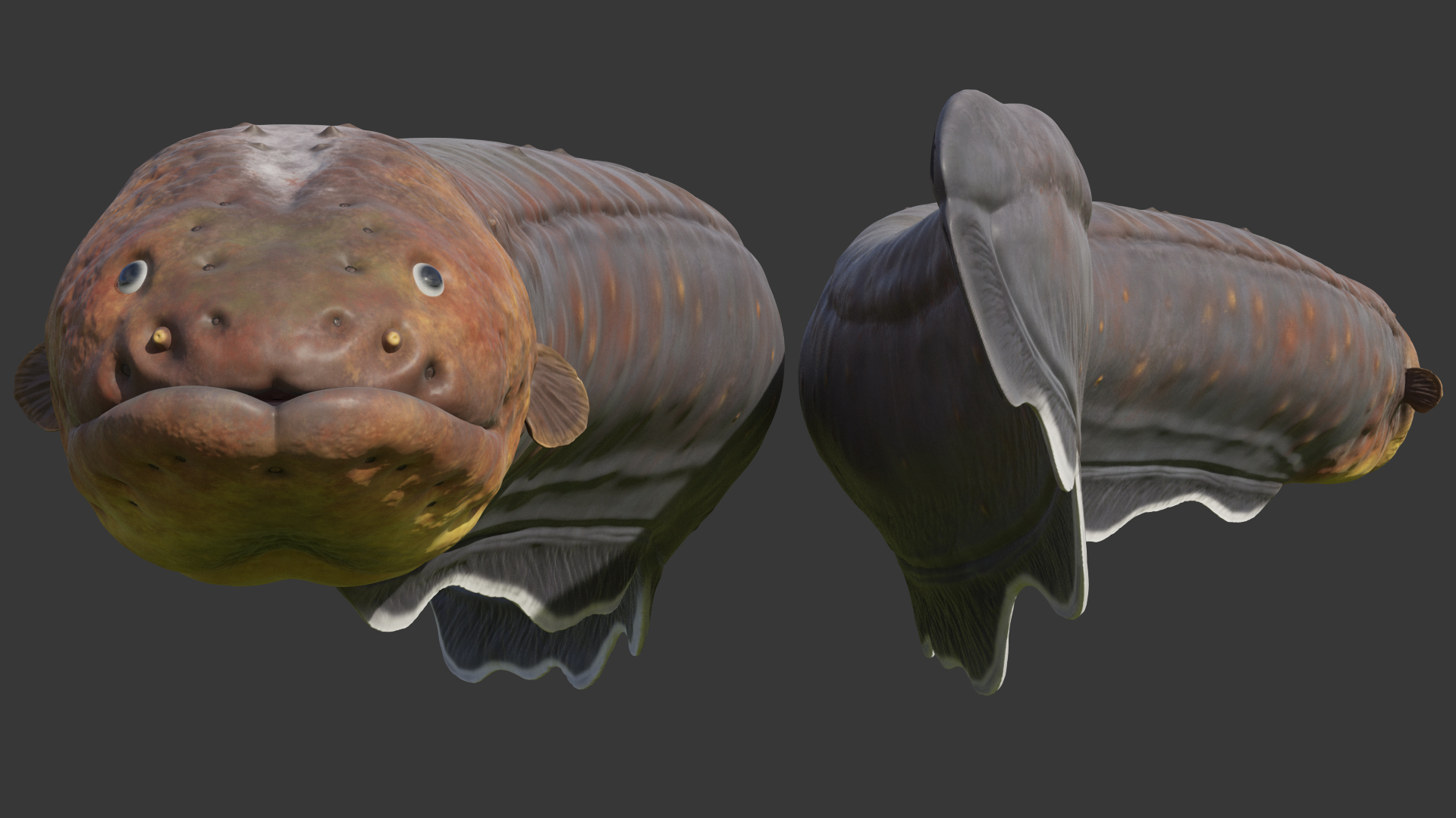 Electric Eel Rigged 3D model