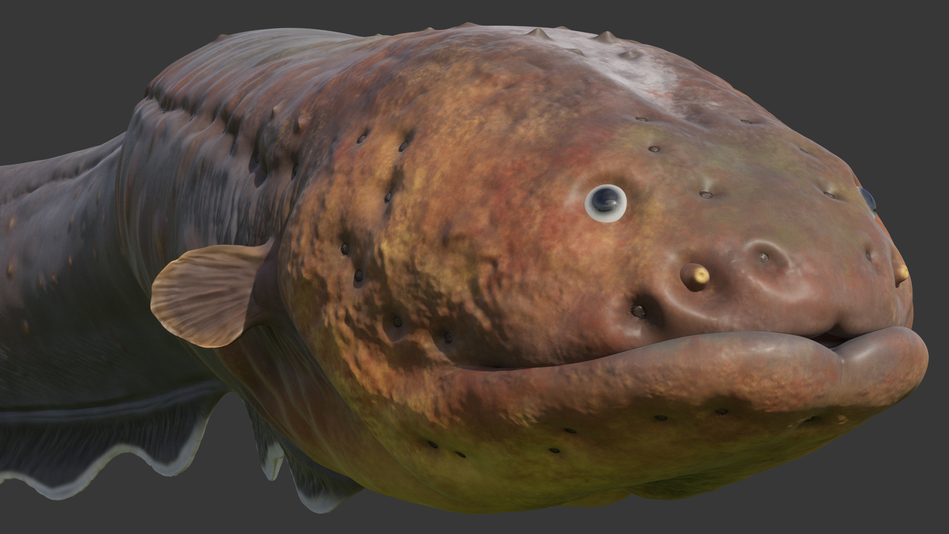 Electric Eel Rigged 3D model