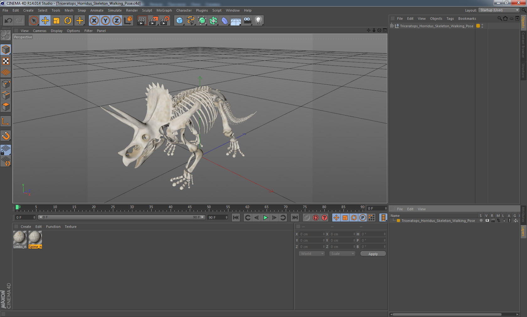 Triceratops Horridus Skeleton Walking Pose 3D
