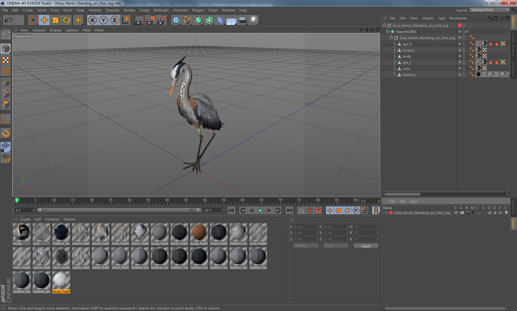 3D model Grey Heron Standing on One Leg