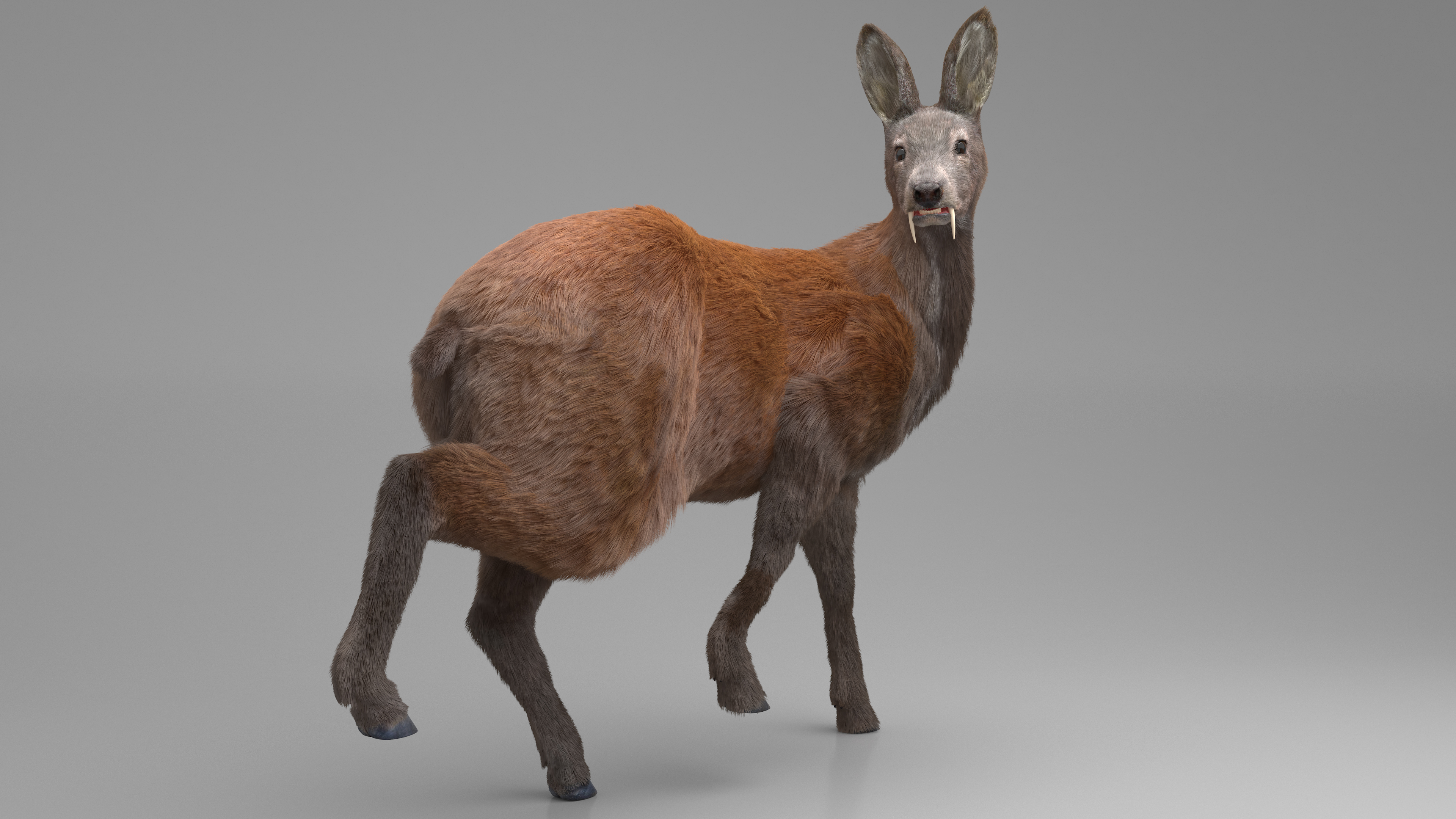 3D model Musk Deer Rigged Fur