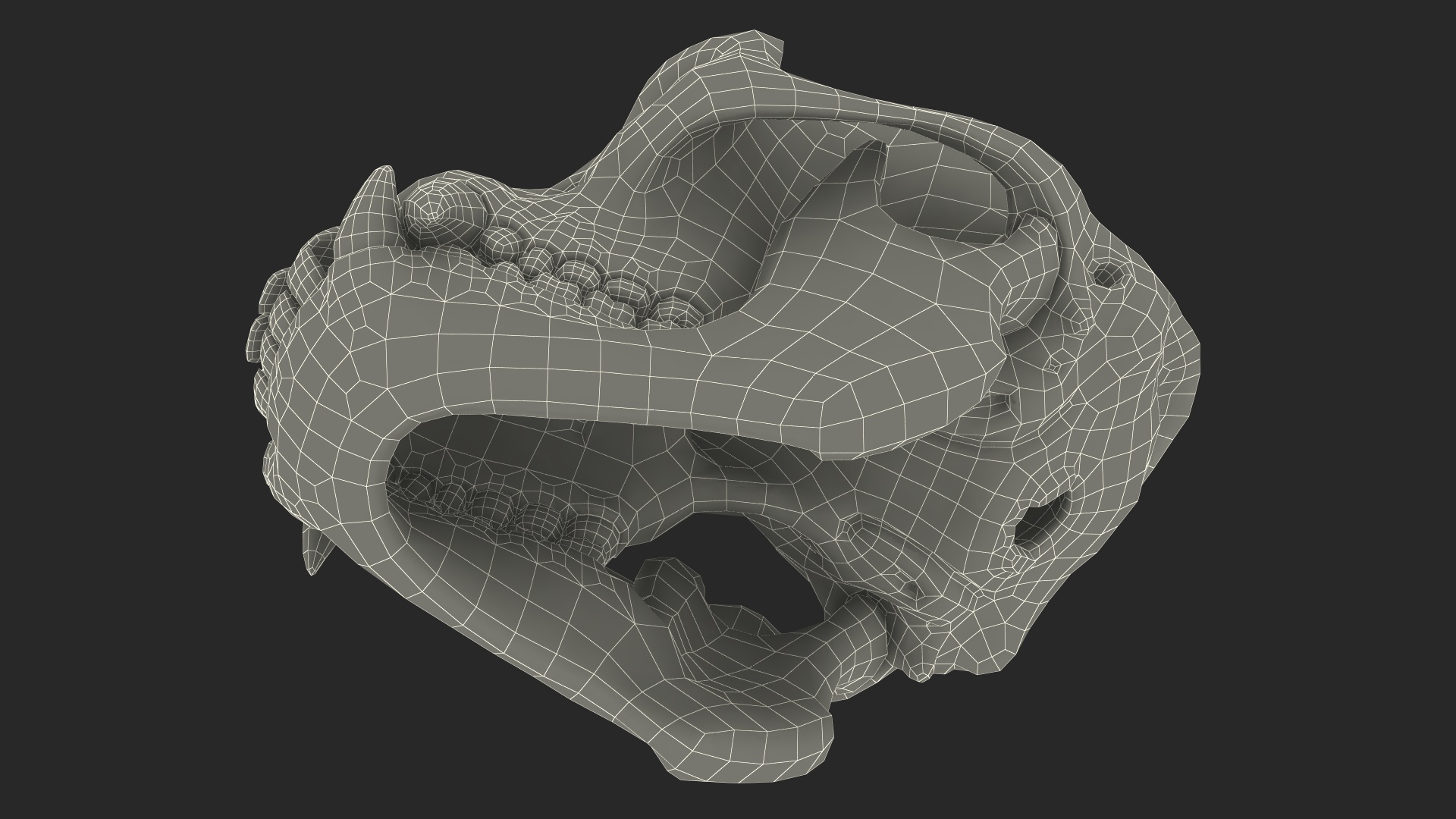 3D Gorilla Skull model