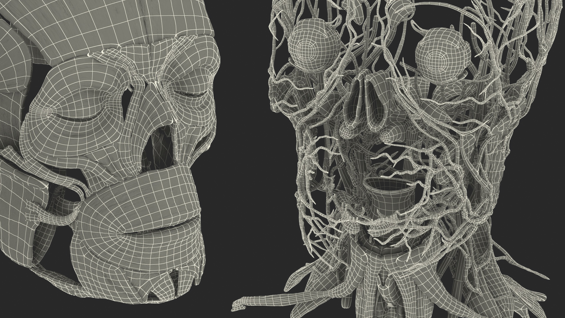 Human Head Full Anatomy and Skin 3D