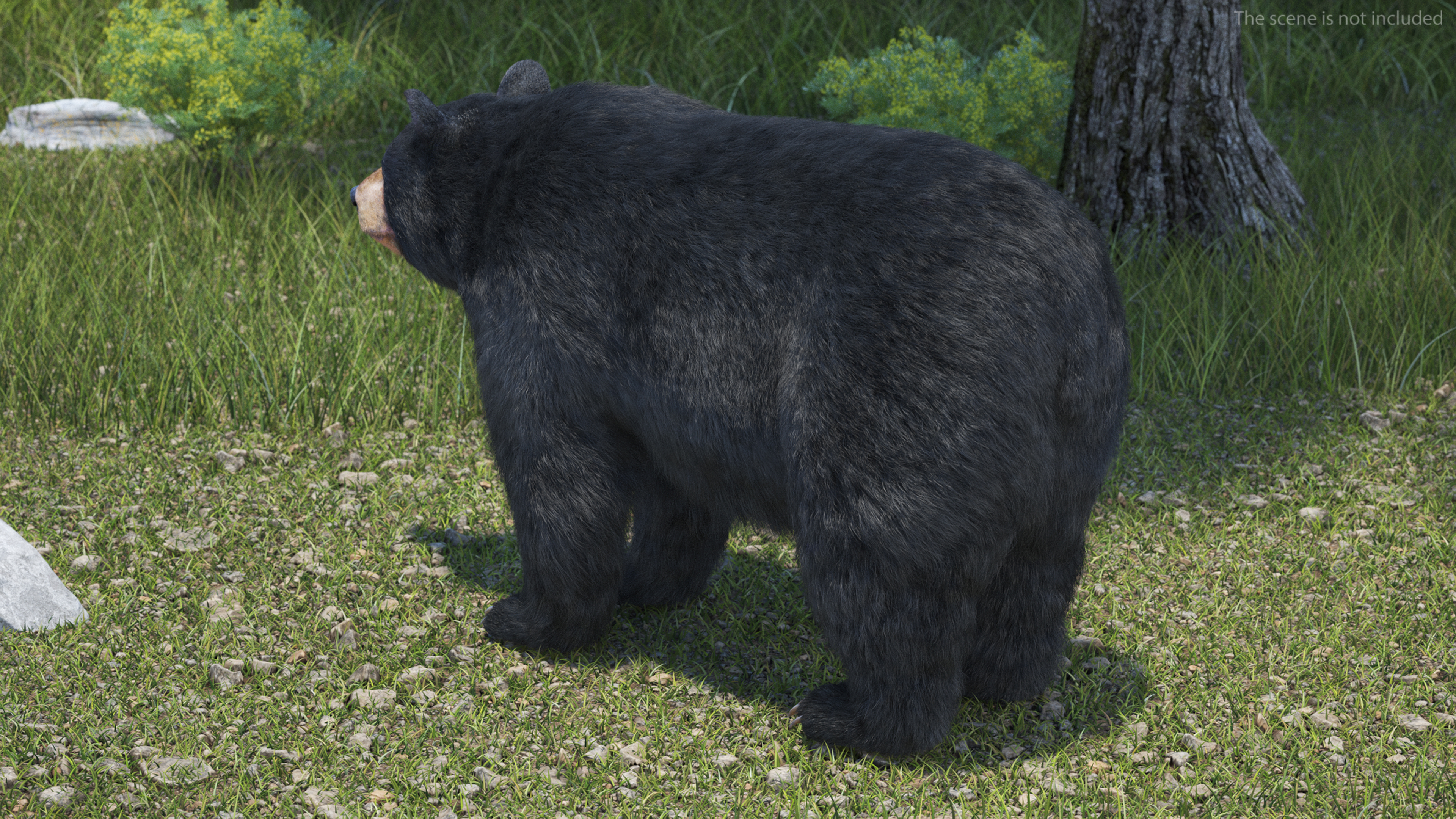Black Bear Fur 3D model