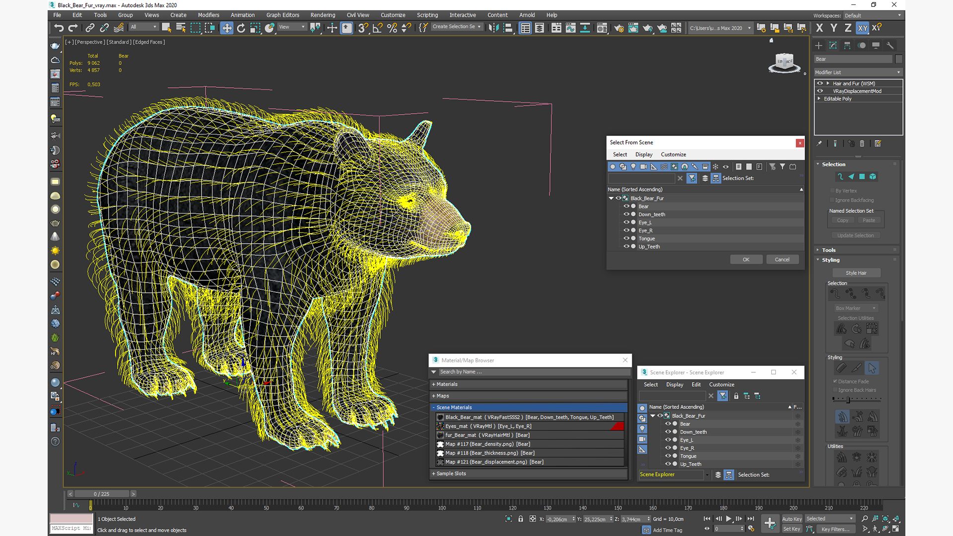 Black Bear Fur 3D model