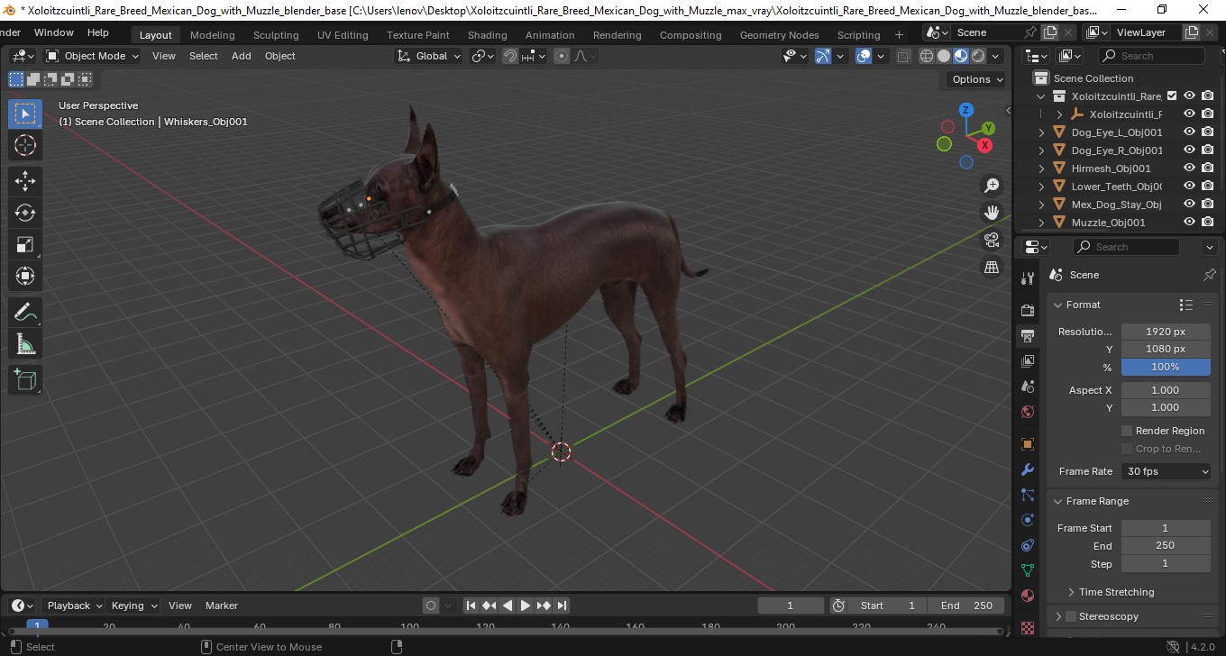 Xoloitzcuintli Rare Breed Mexican Dog with Muzzle 3D model