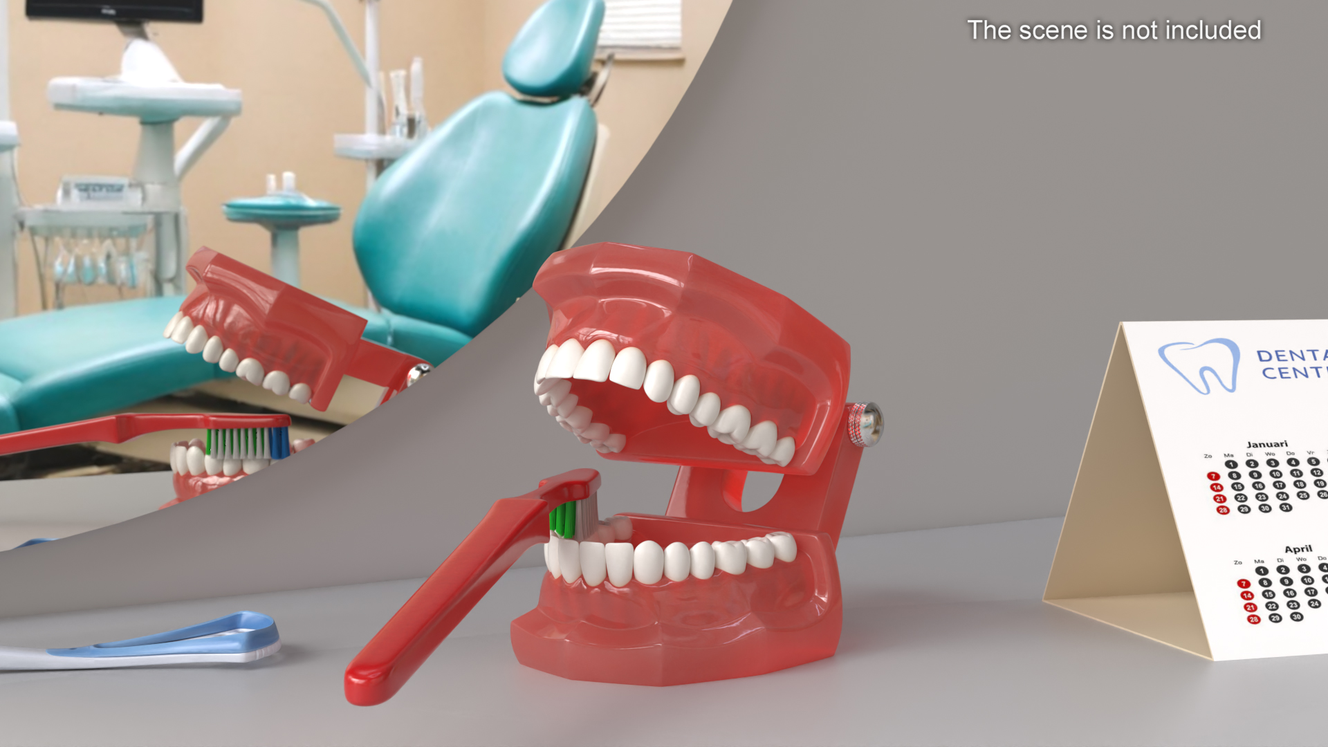 3D Dental Model with Toothbrush model