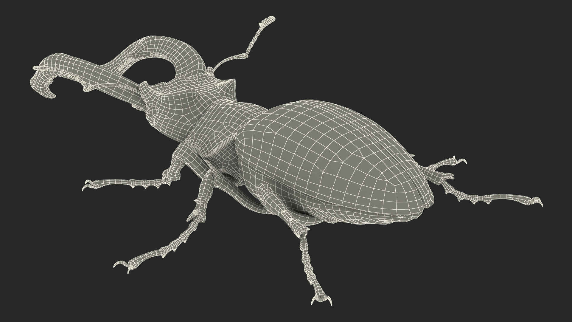 3D Lucanus Cervus Stag Beetle Walking Pose Fur model