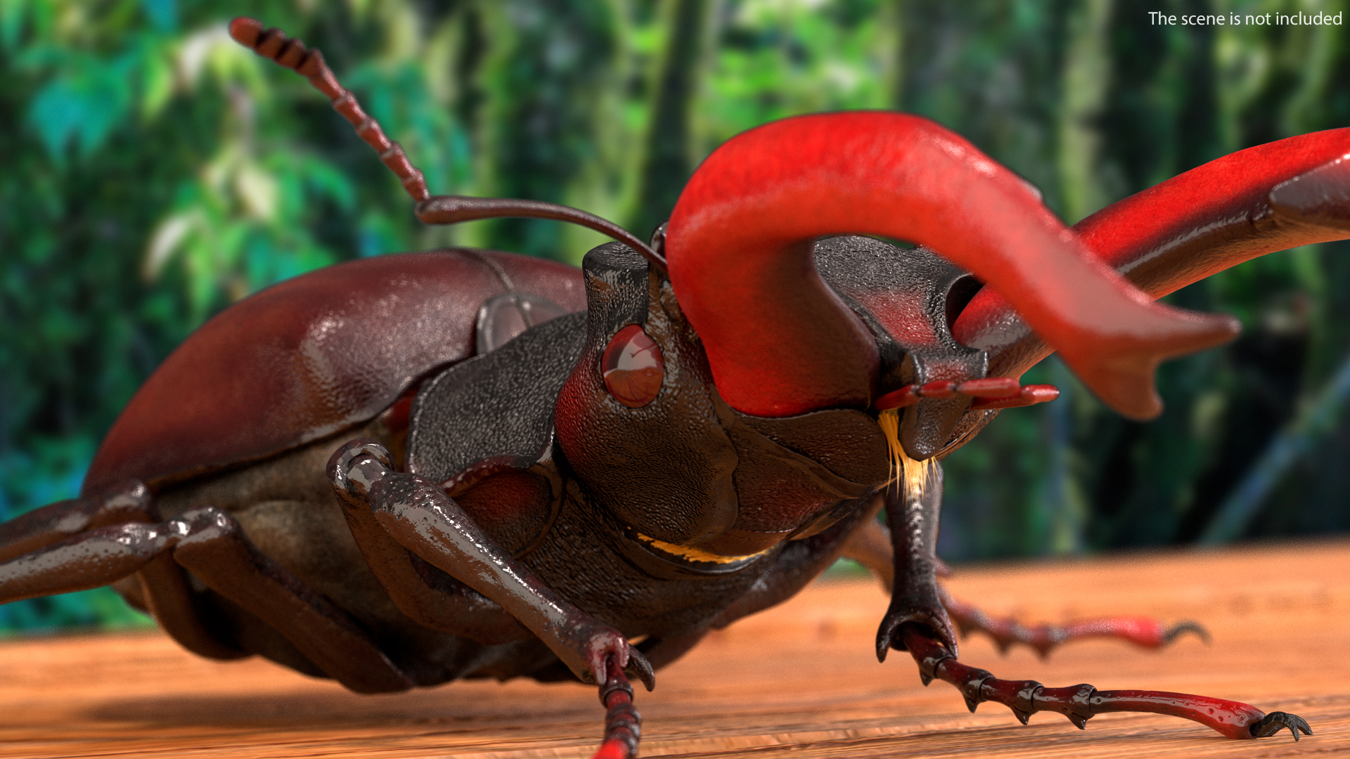 3D Lucanus Cervus Stag Beetle Walking Pose Fur model