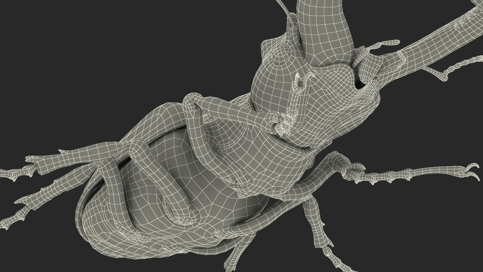 3D Lucanus Cervus Stag Beetle Walking Pose Fur model