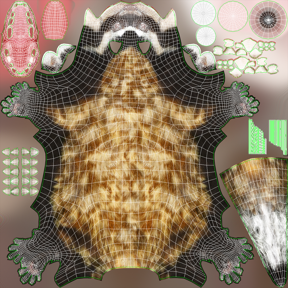 3D Vormela Peregusna Stands on His Hind Legs