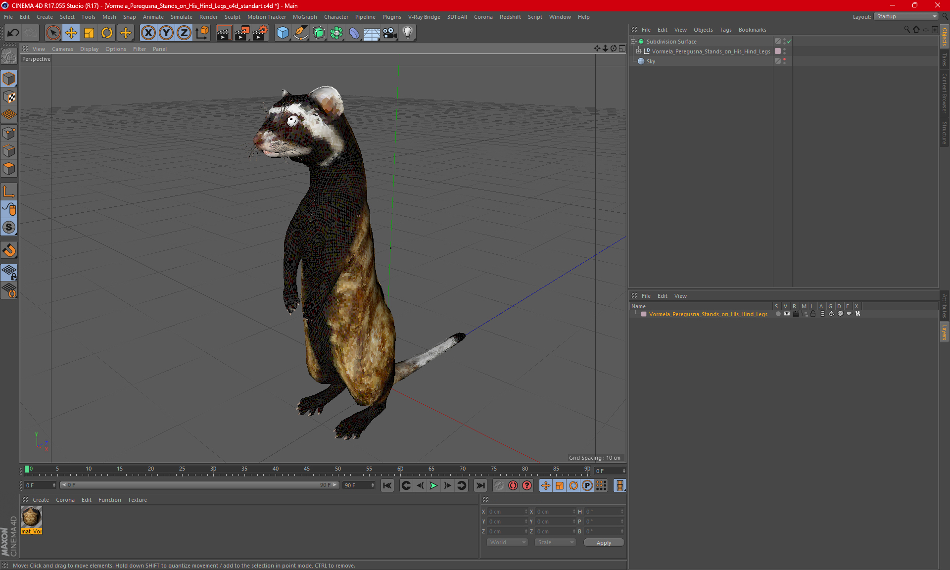 3D Vormela Peregusna Stands on His Hind Legs