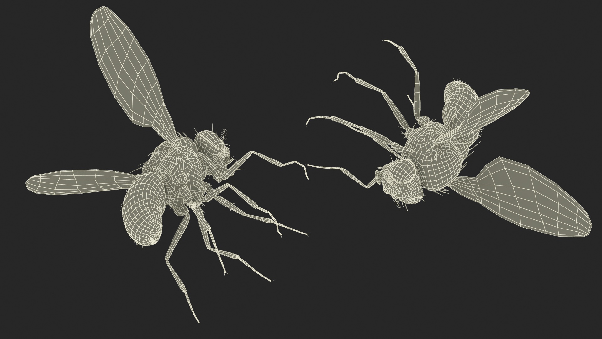 Vinegar Fly Dead Black 3D