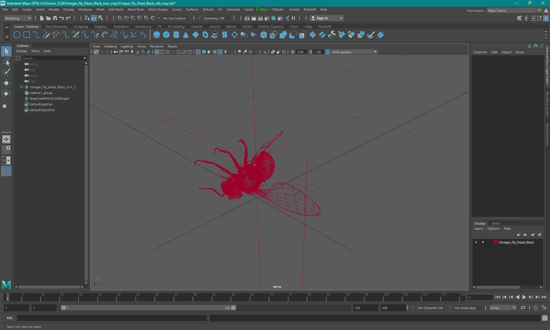 Vinegar Fly Dead Black 3D