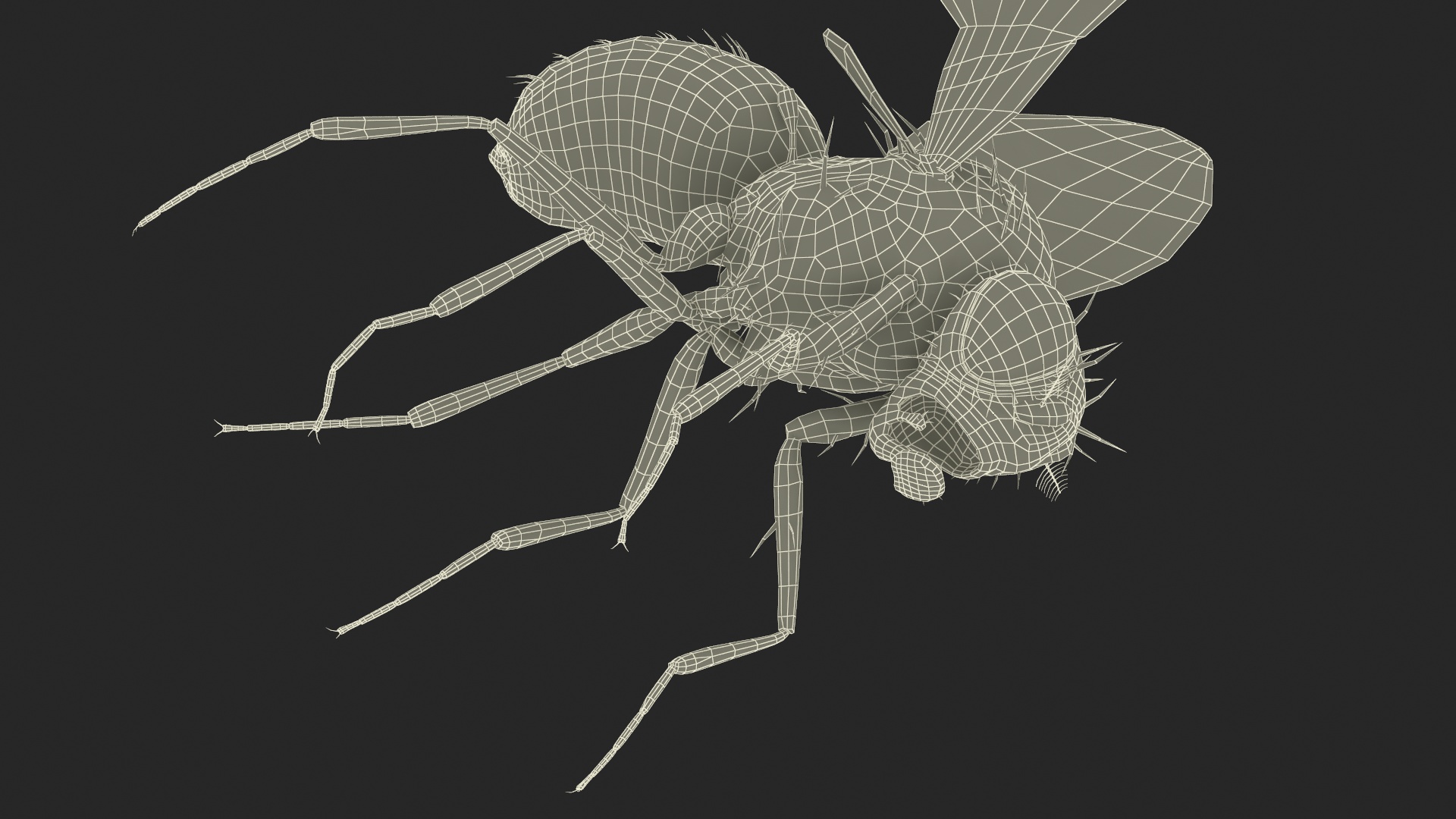 Vinegar Fly Dead Black 3D