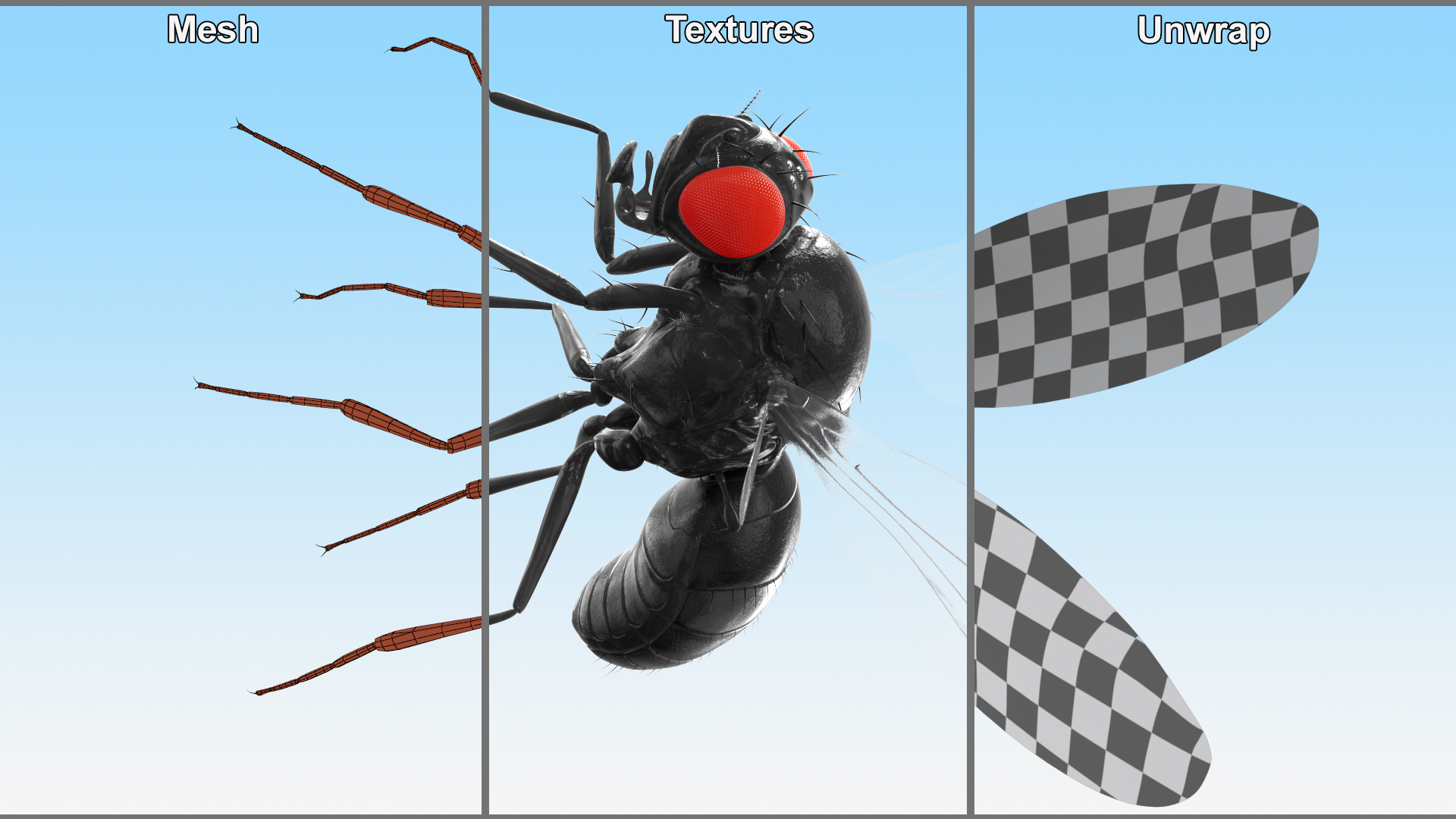 Vinegar Fly Dead Black 3D