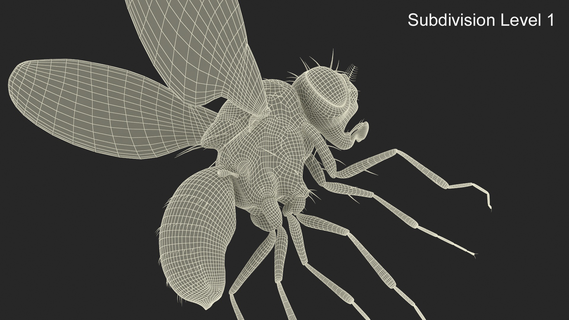 Vinegar Fly Dead Black 3D