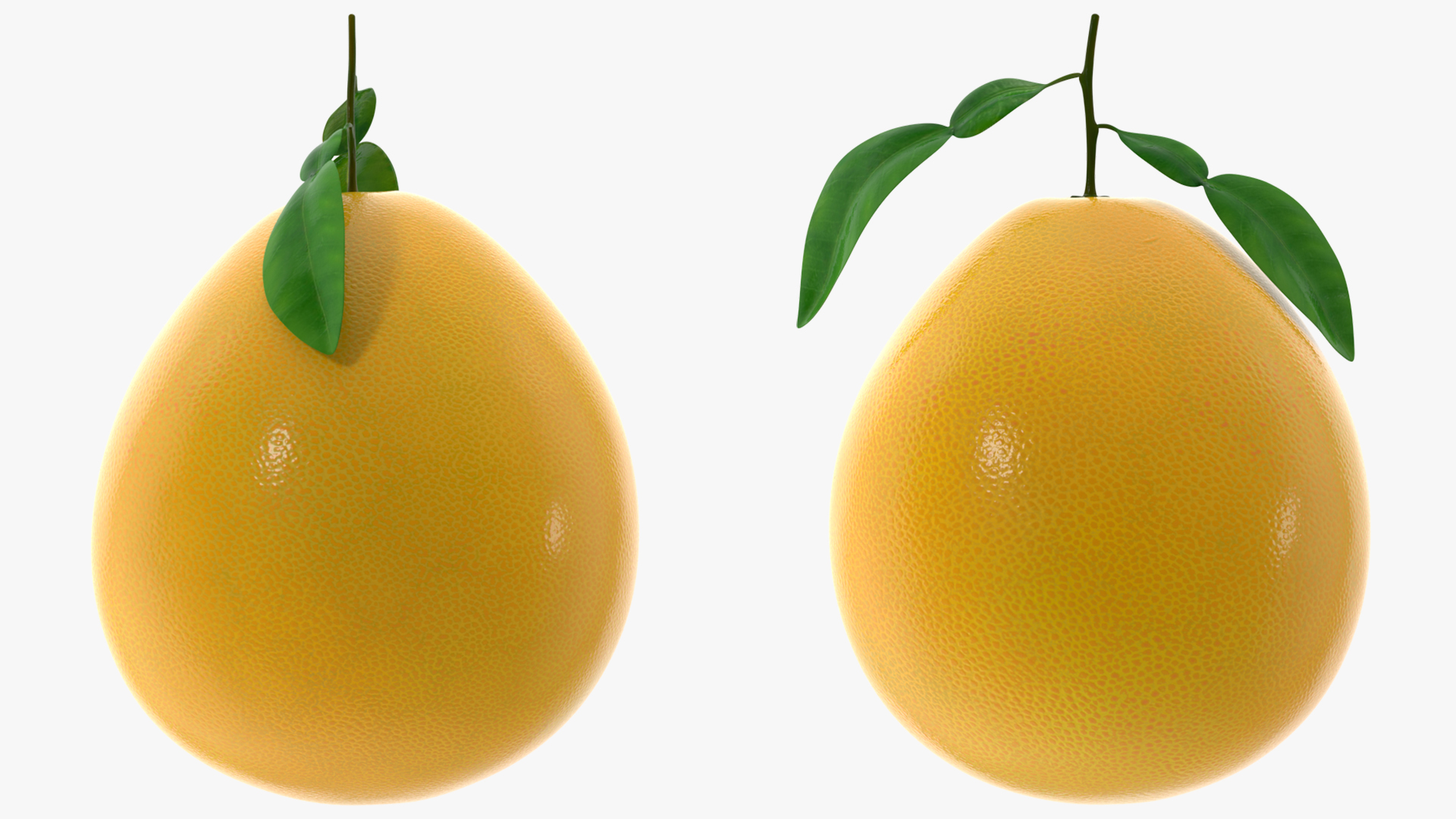 Pomelo Fruit Orange 3D model