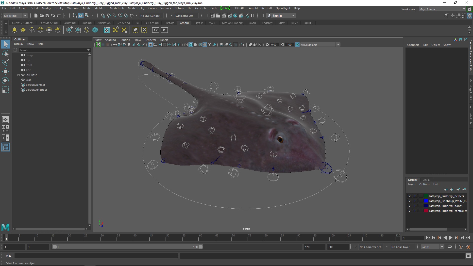 3D model Bathyraja Lindbergi Gray Rigged for Maya