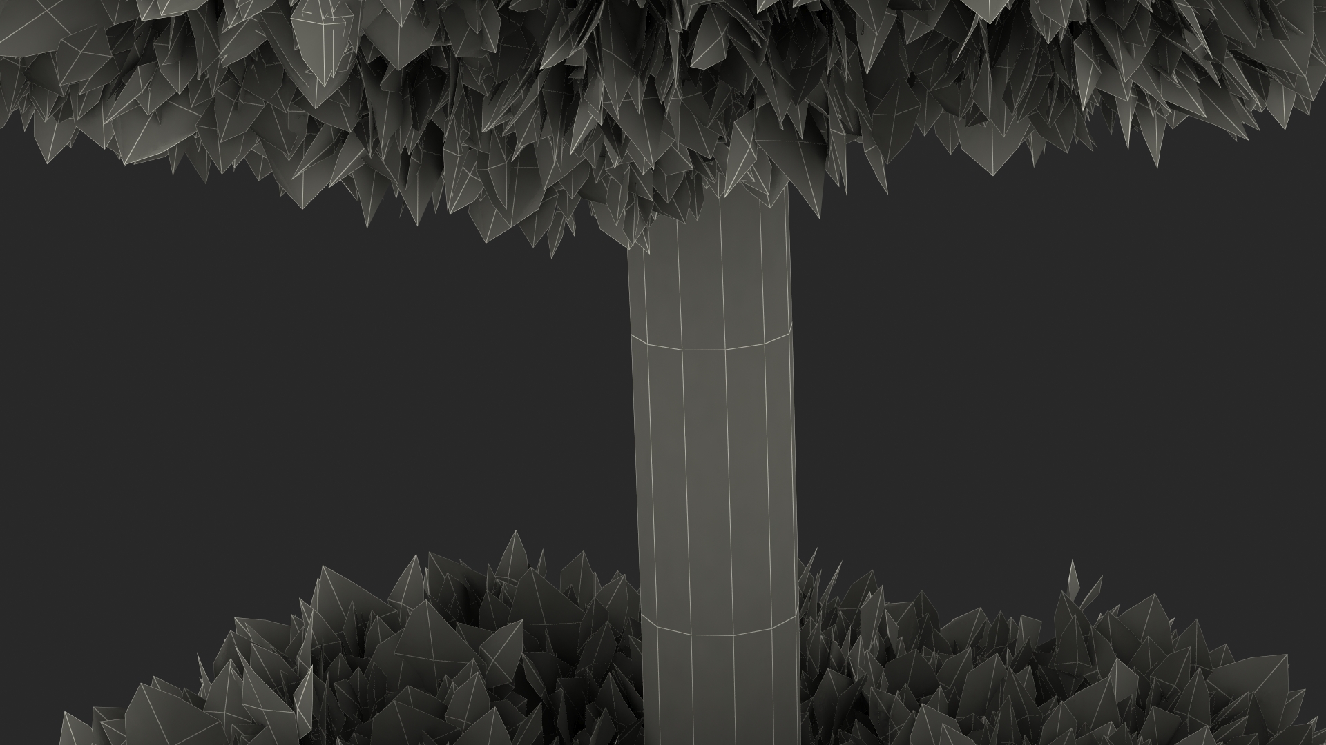 Platycladus Tree Trimmed 3D model