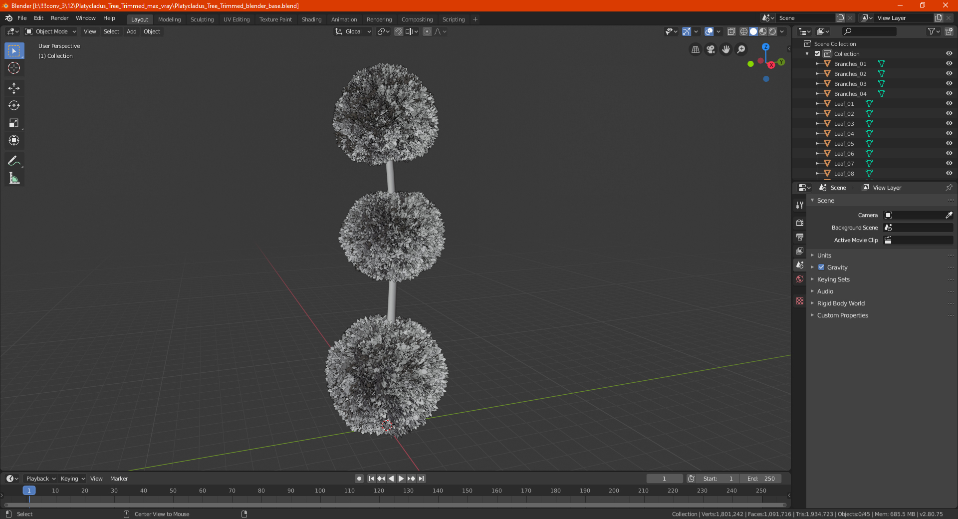 Platycladus Tree Trimmed 3D model