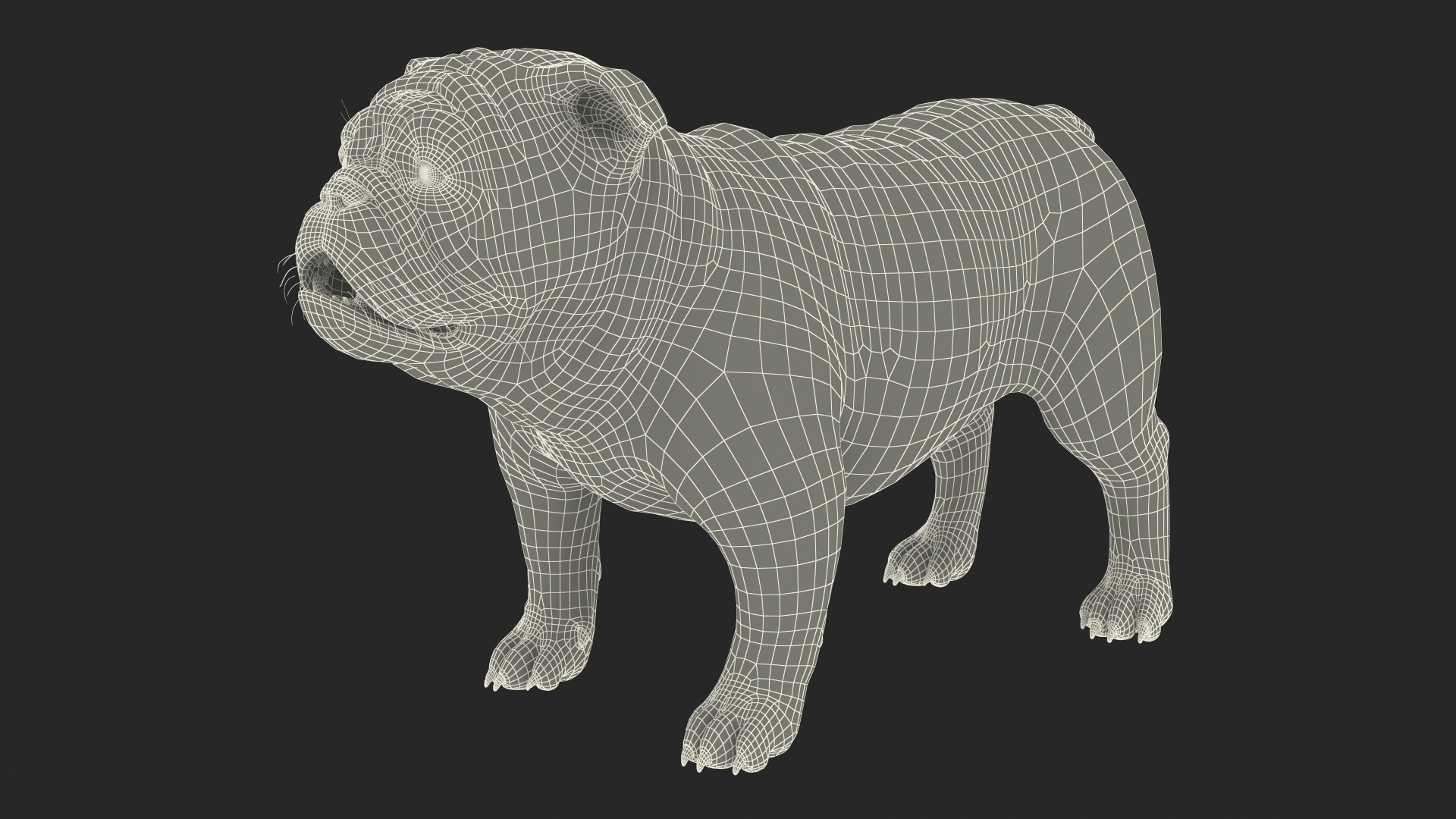 3D Bulldog Fur