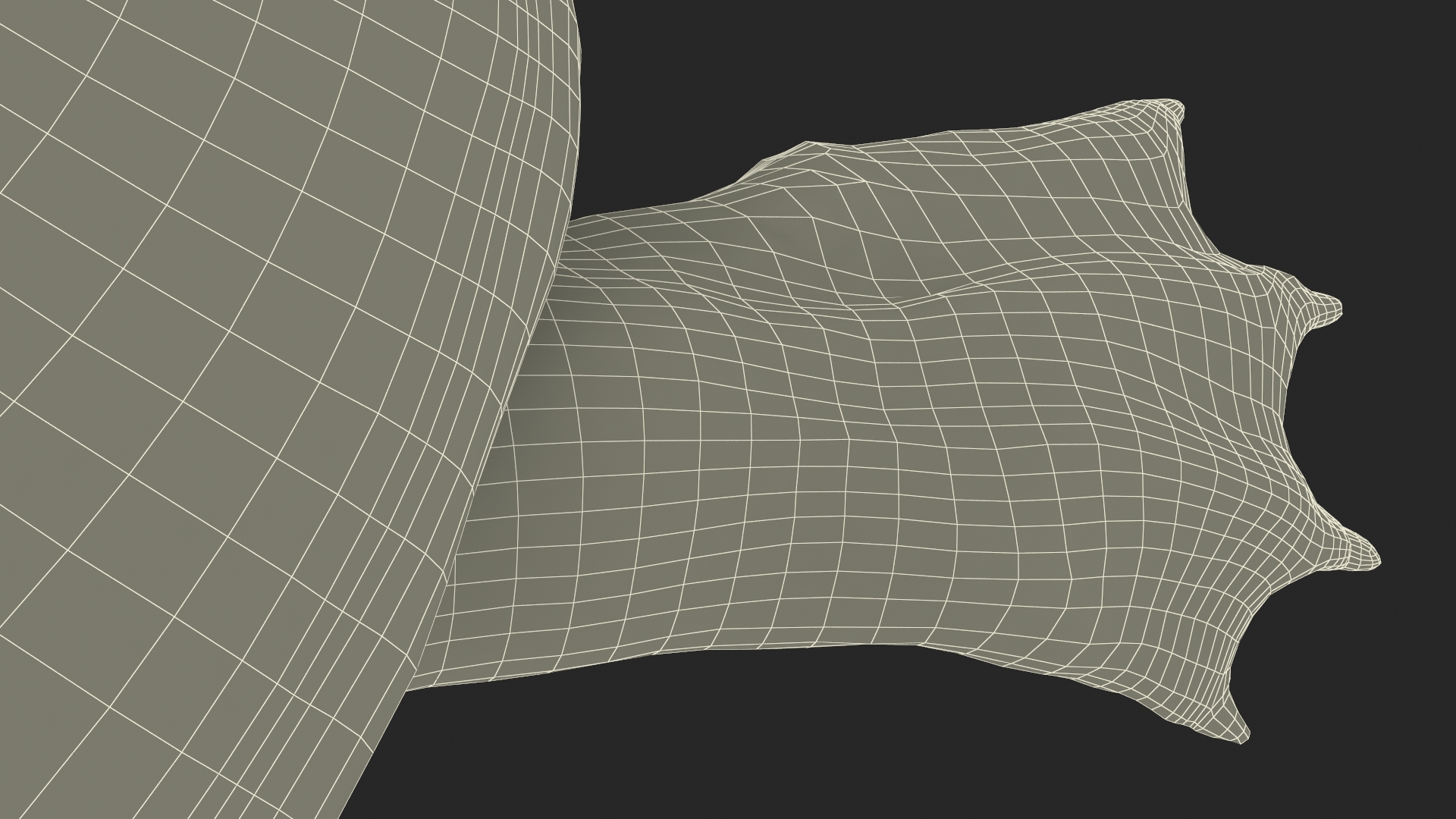 3D model Dark Green Pelochelys Cantorii