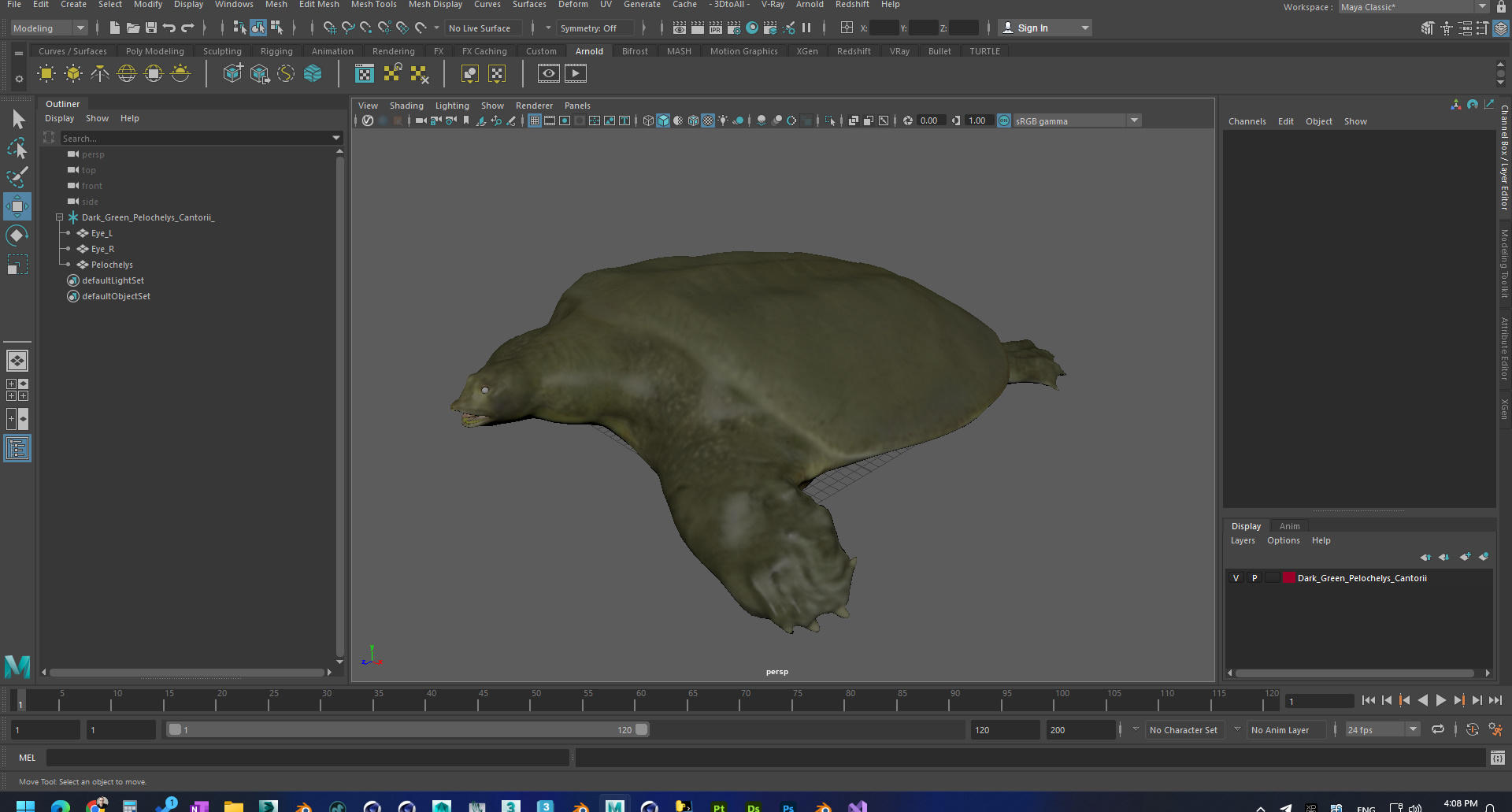 3D model Dark Green Pelochelys Cantorii