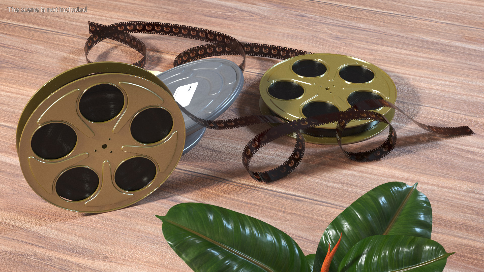 3D Film Reels and Box model