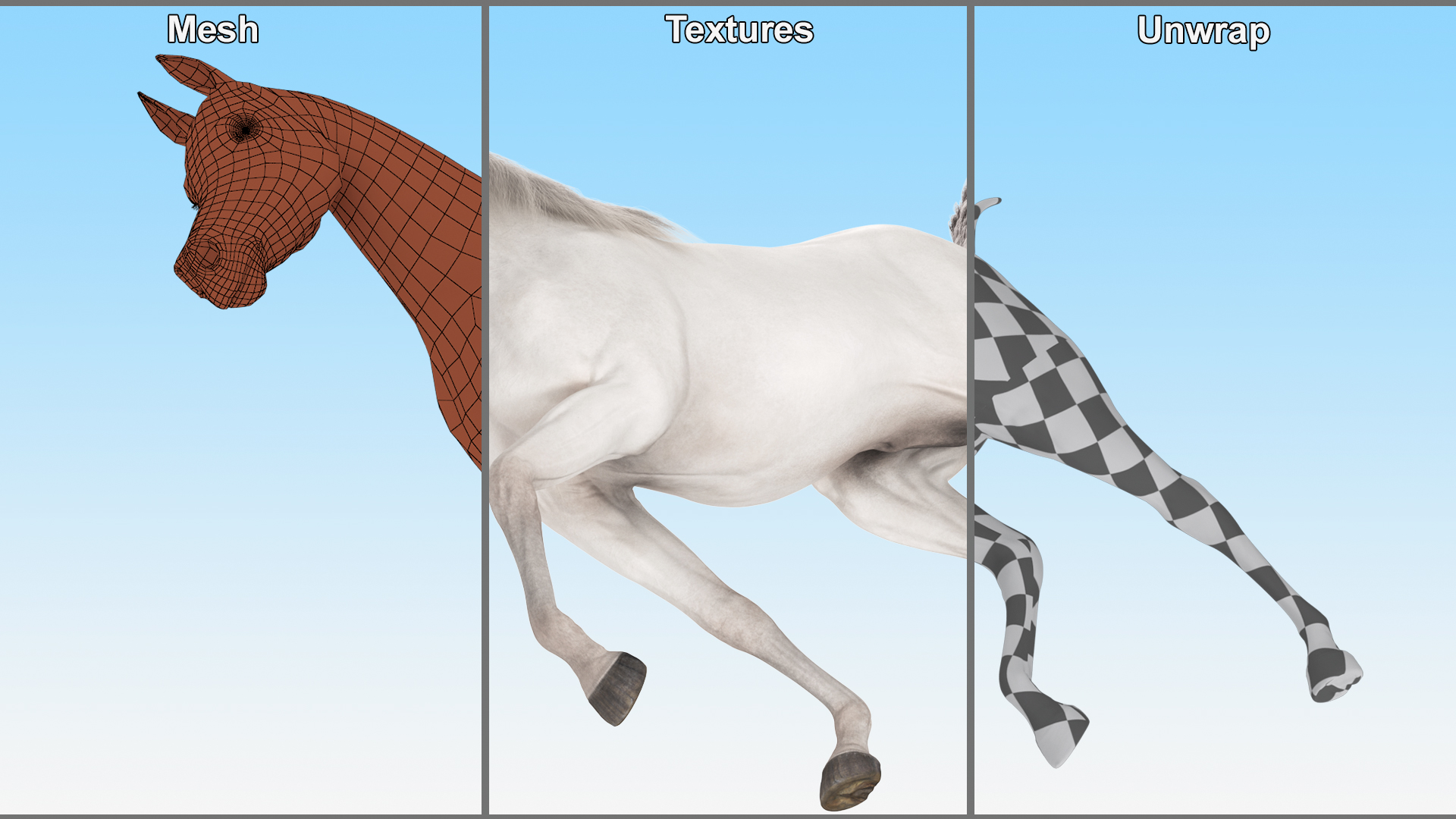 3D Walking Arabian Horse White Fur