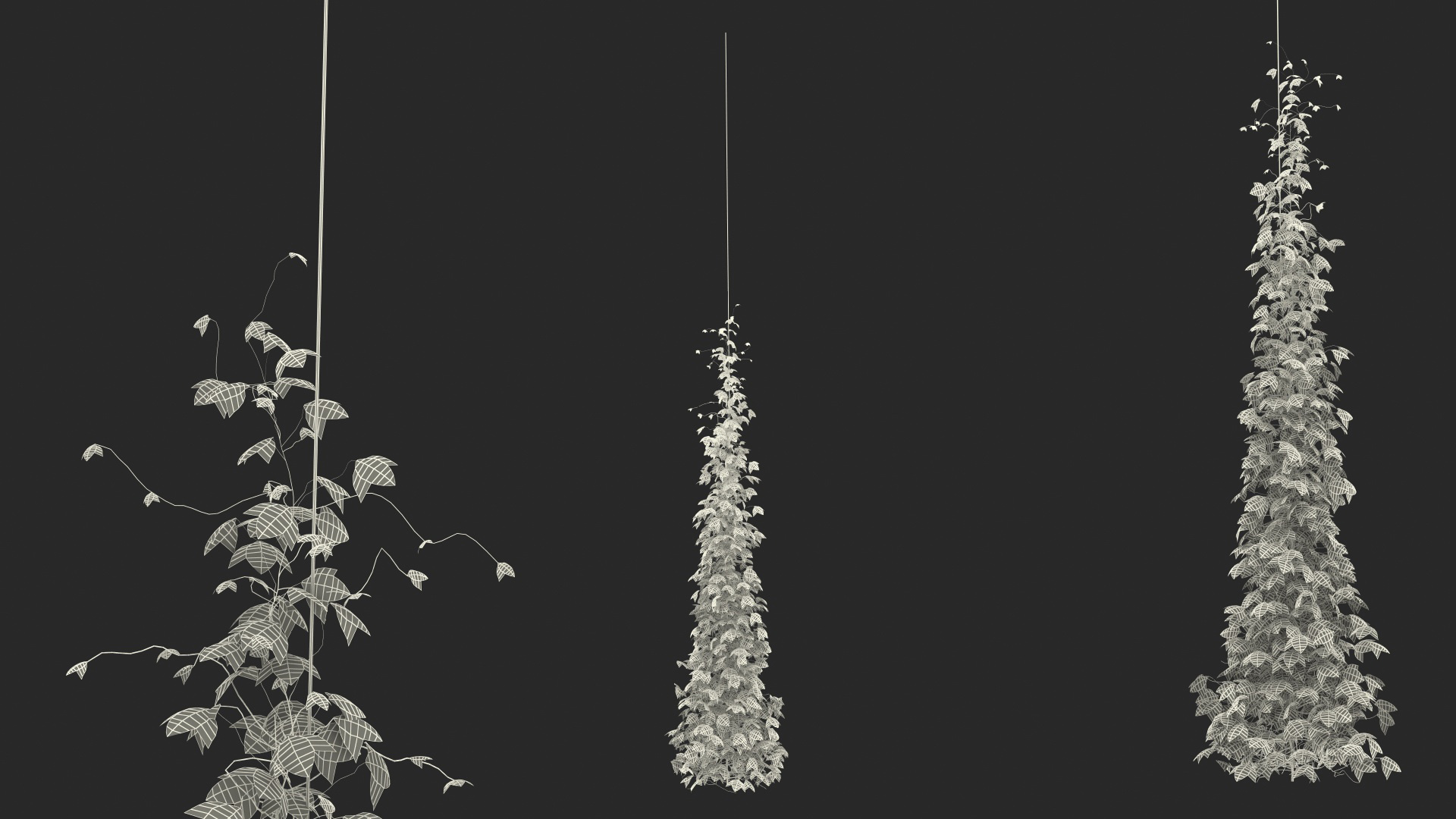3D Growing Green Hop Plant model