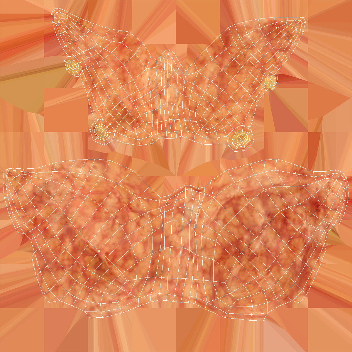Human Head Lymphatic System 3D