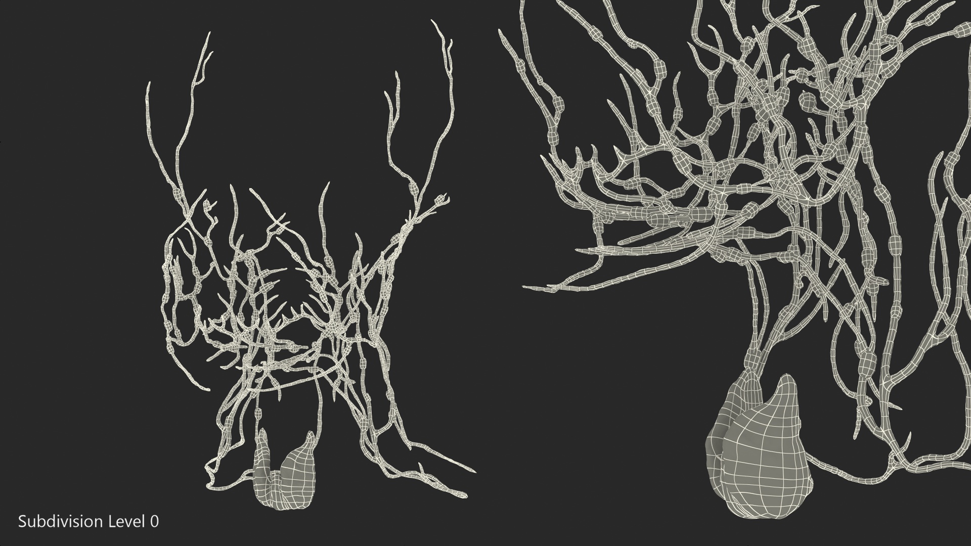 Human Head Lymphatic System 3D