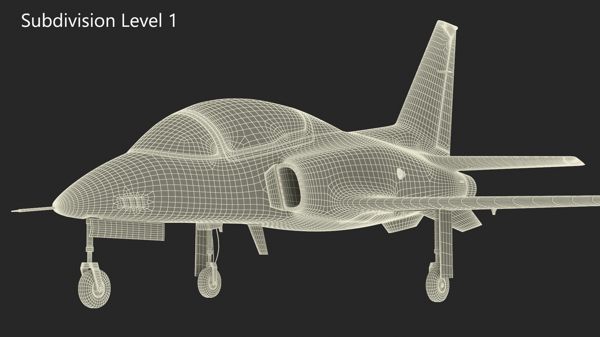Private Jet Aircraft ViperJet 3D model