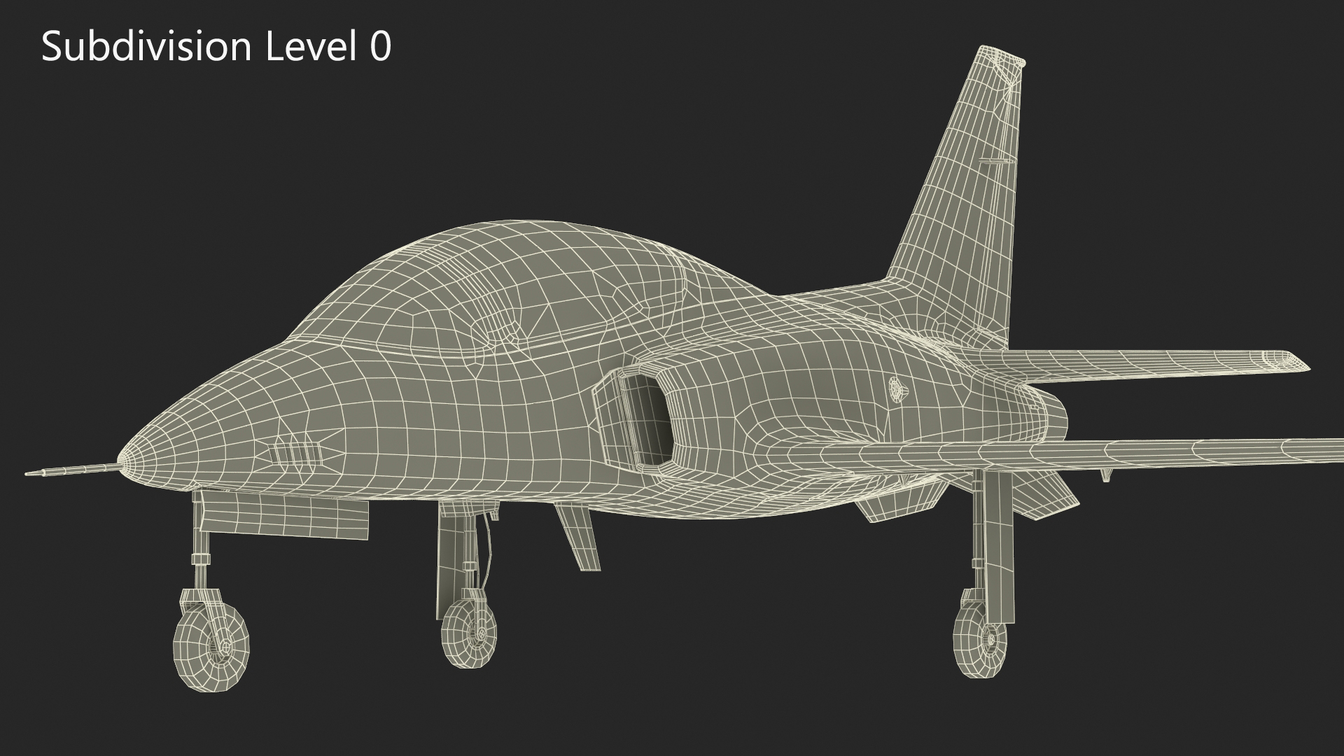 Private Jet Aircraft ViperJet 3D model