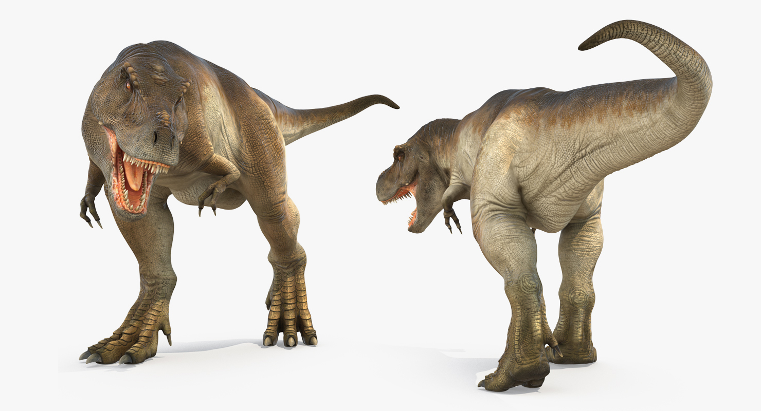 Tyrannosaurus Rex Rigged 3D model
