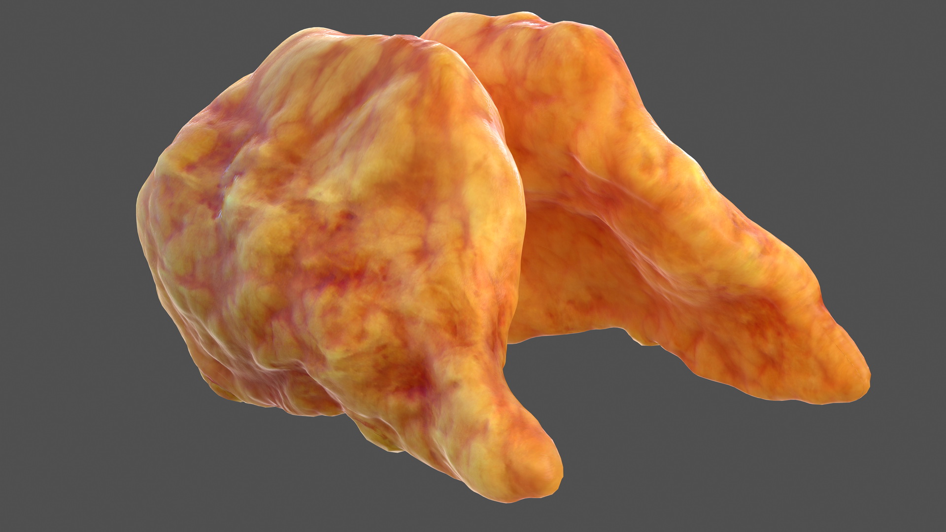 3D Human Thyroid model