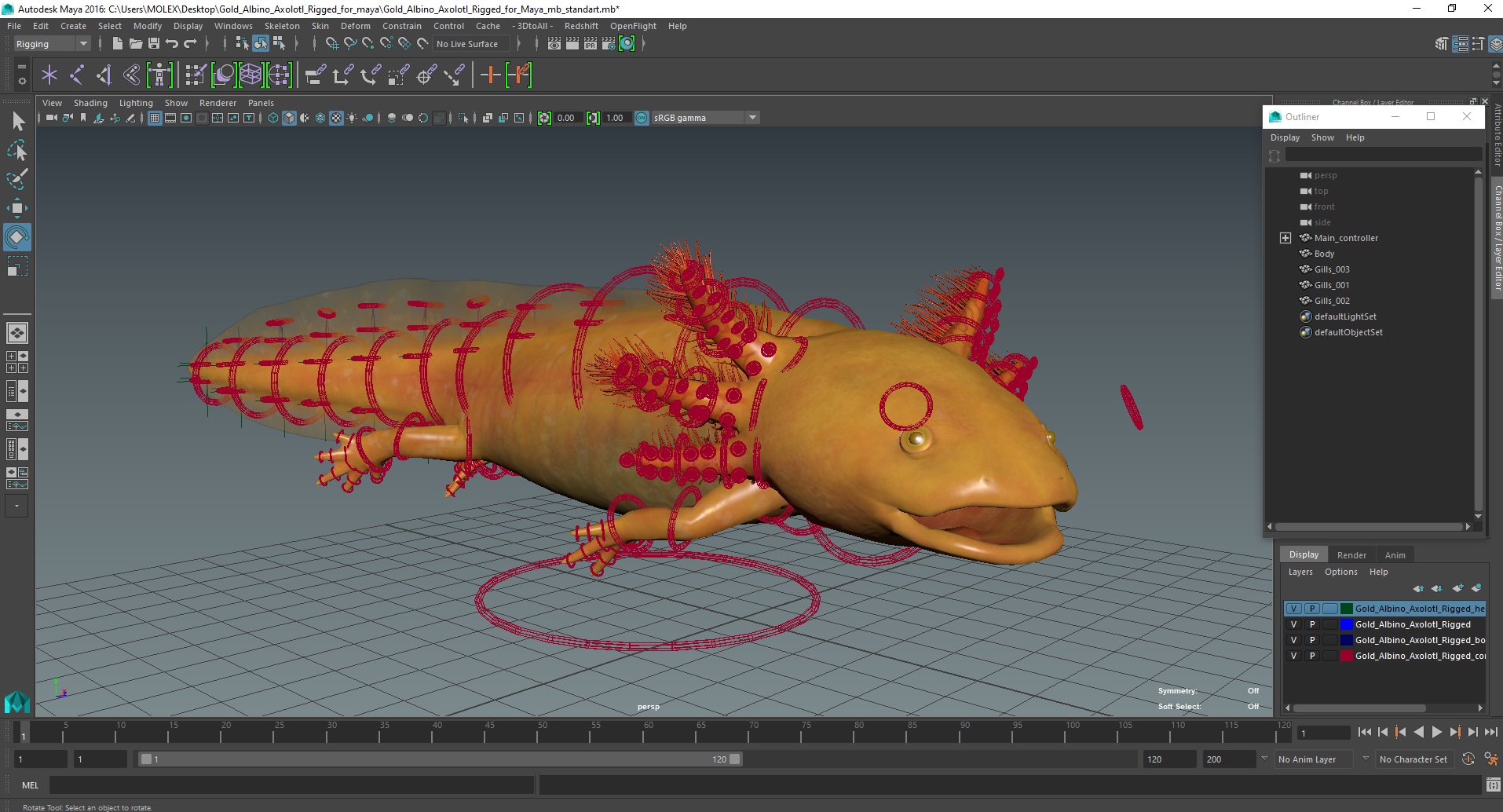 3D model Gold Albino Axolotl Rigged for Maya