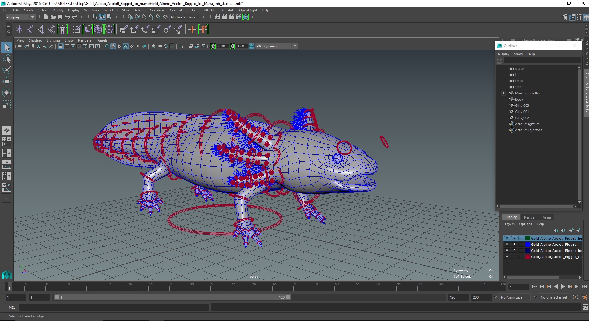3D model Gold Albino Axolotl Rigged for Maya