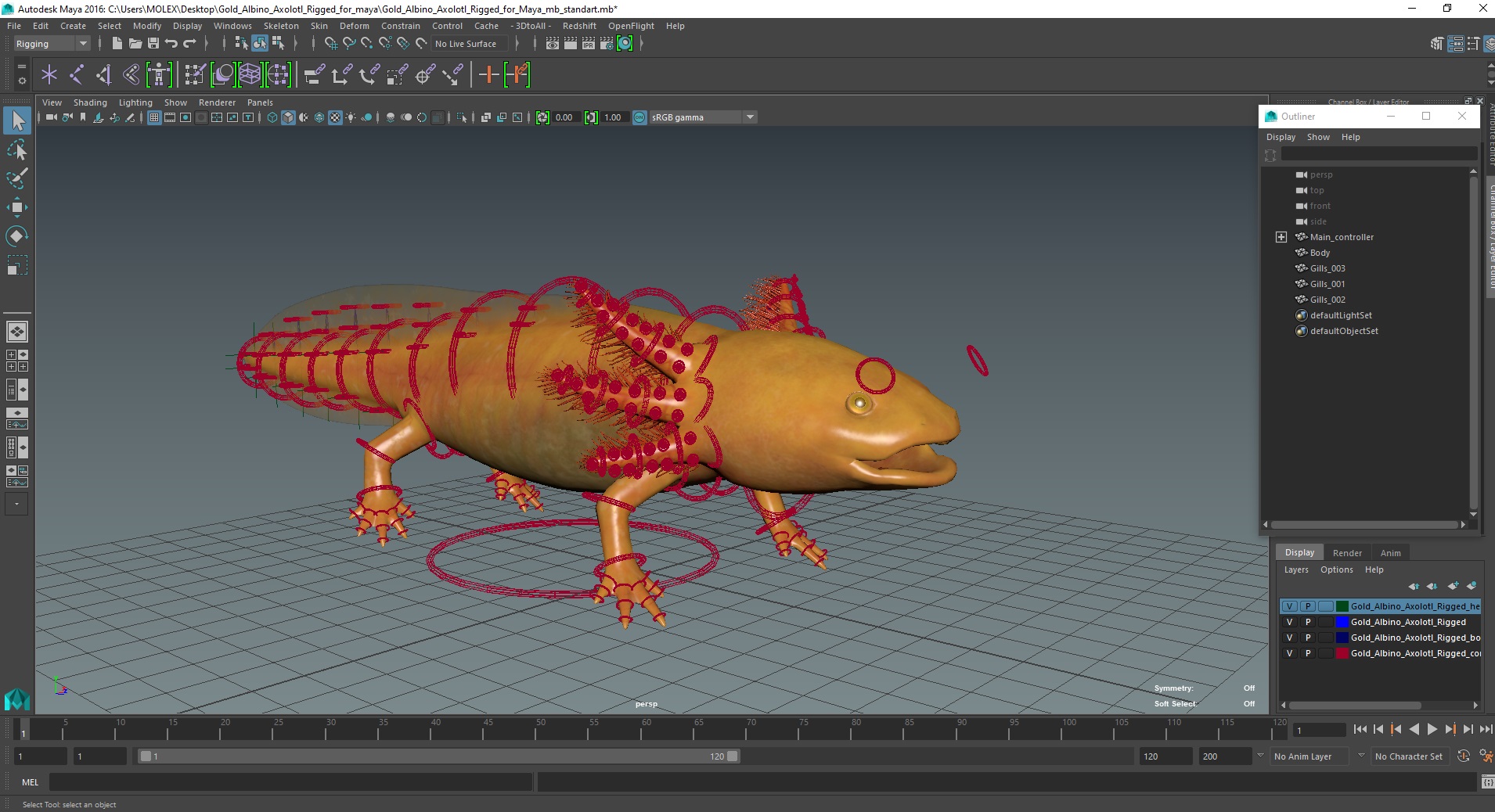 3D model Gold Albino Axolotl Rigged for Maya