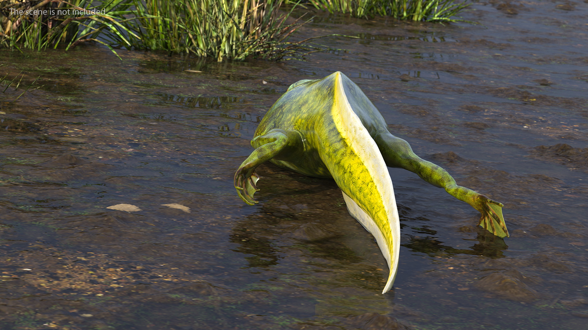 Tadpole with Legs 3D