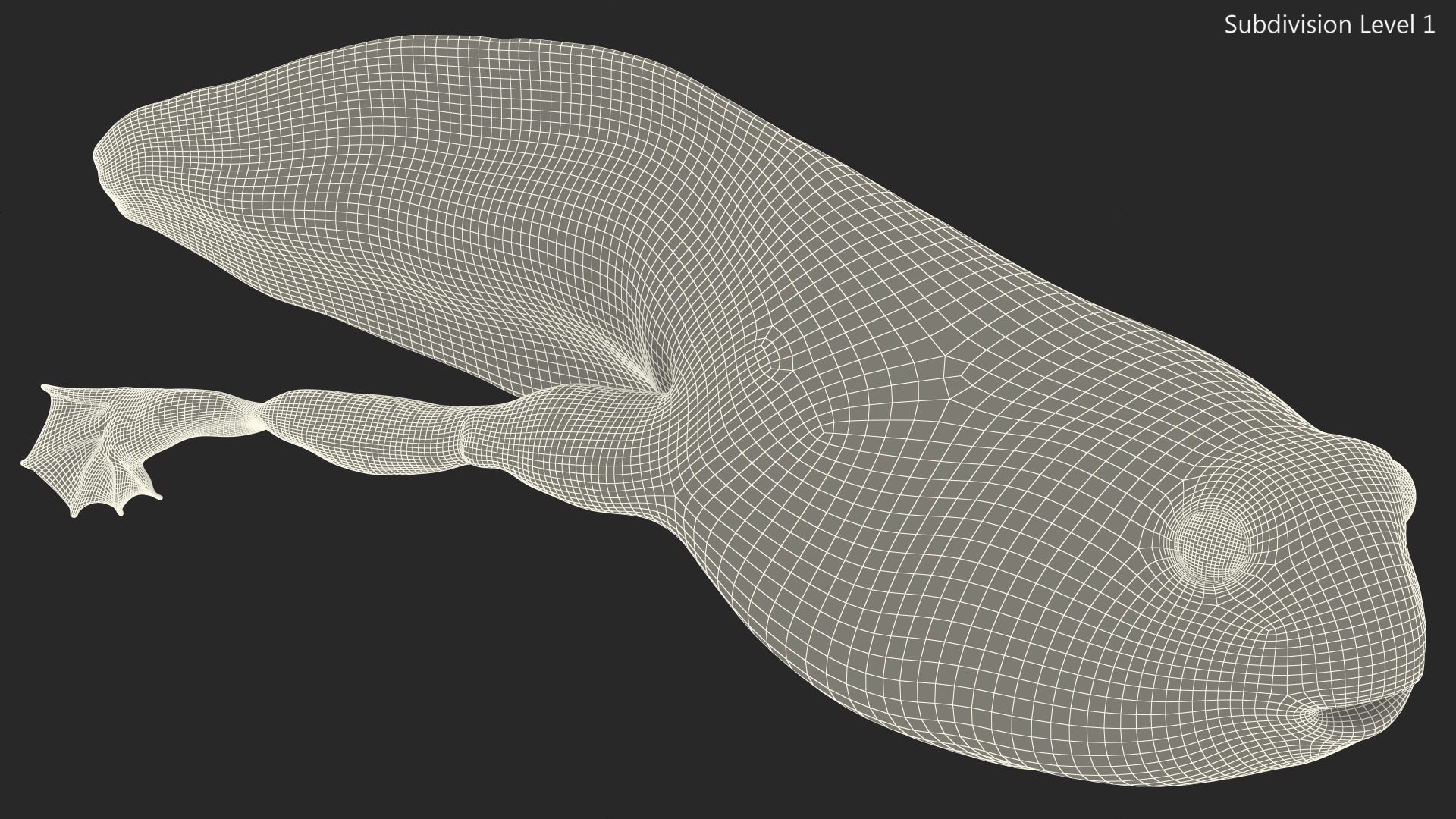 Tadpole with Legs 3D
