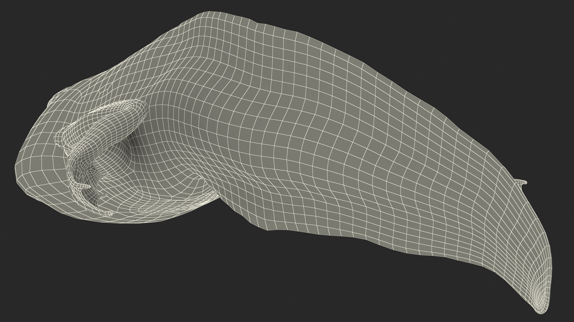 Tadpole with Legs 3D