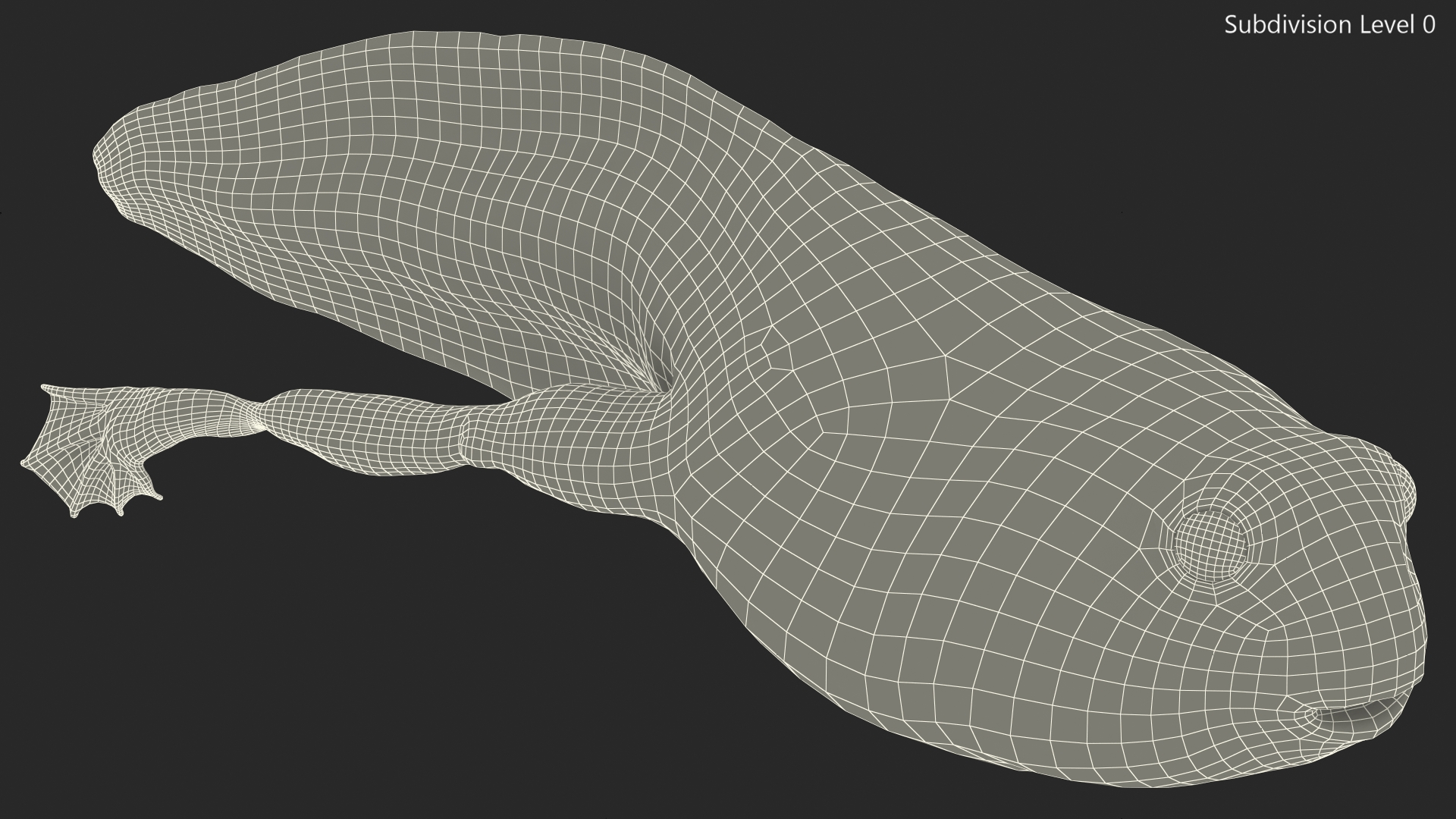 Tadpole with Legs 3D