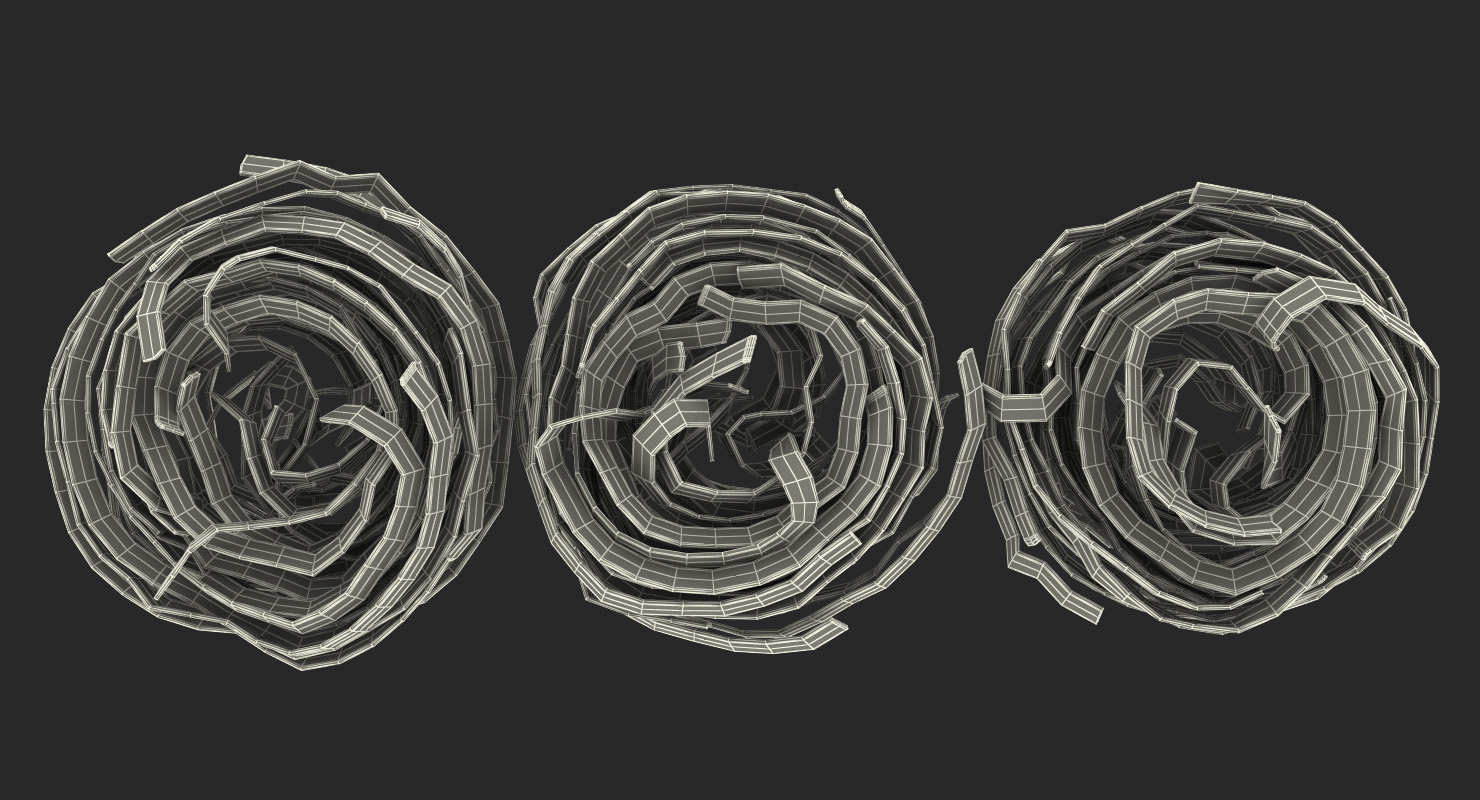 Raw Pasta Nest 3D model