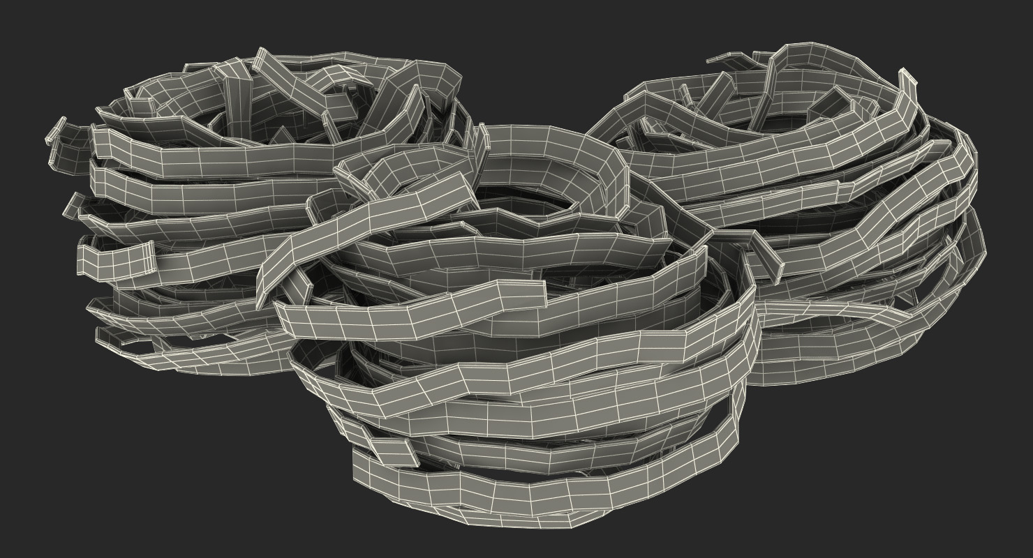 Raw Pasta Nest 3D model